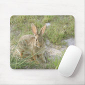 Frühes Abends-Häschen Mousepad (Mit Mouse)