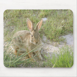 Frühes Abends-Häschen Mousepad