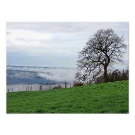 Frühfrüherer Nebel Fotodruck