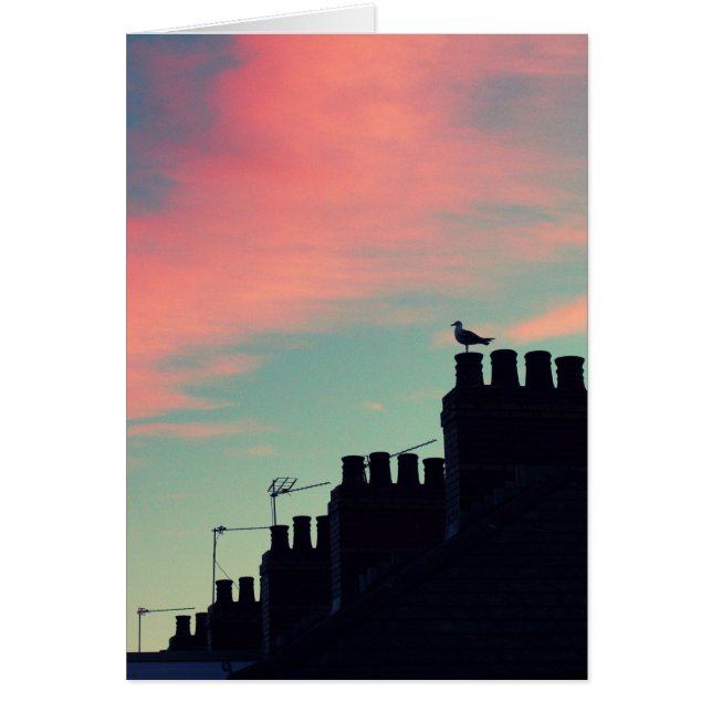 Frühgeburten (Vorne)