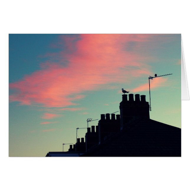 Frühgeburten (Vorderseite (Horizontal))