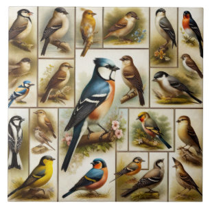 Frühgeburten Fliese