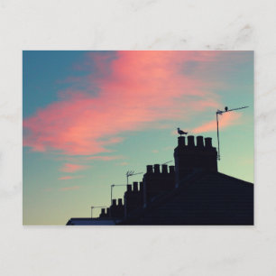 Frühgeburten Postkarte