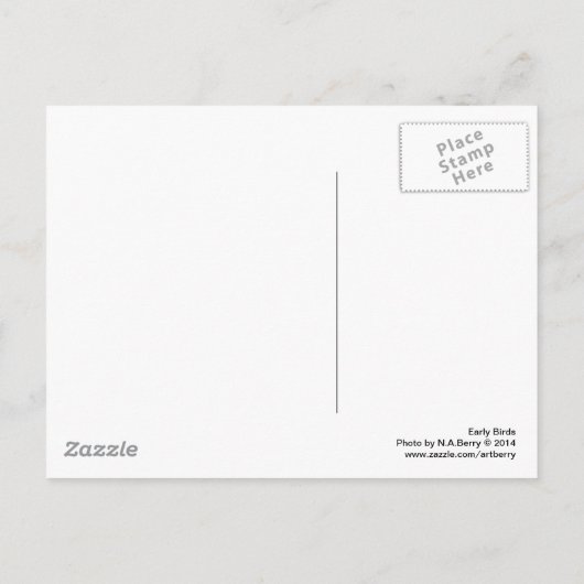 Frühgeburten Postkarte (Rückseite)