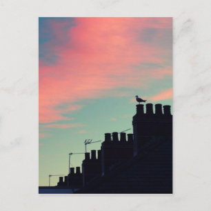 Frühgeburten Postkarte