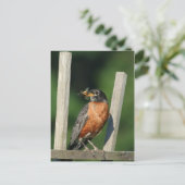 Frühgeflügel Postkarte (Stehend Vorderseite)