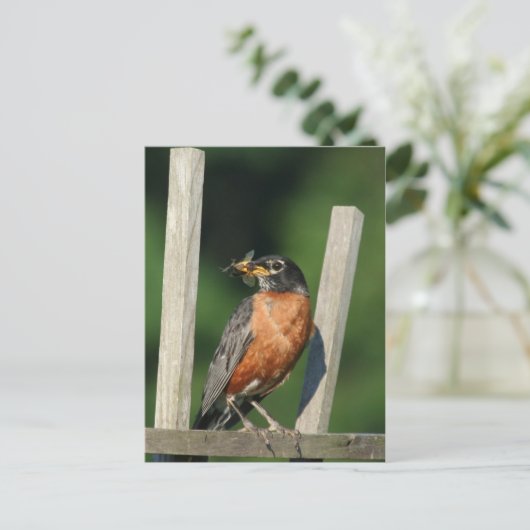 Frühgeflügel Postkarte (Stehend Vorderseite)