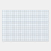 Frühherbst Klassisches Gingham | Staubblau Geschenkpapier Set (Vorderseite 3)