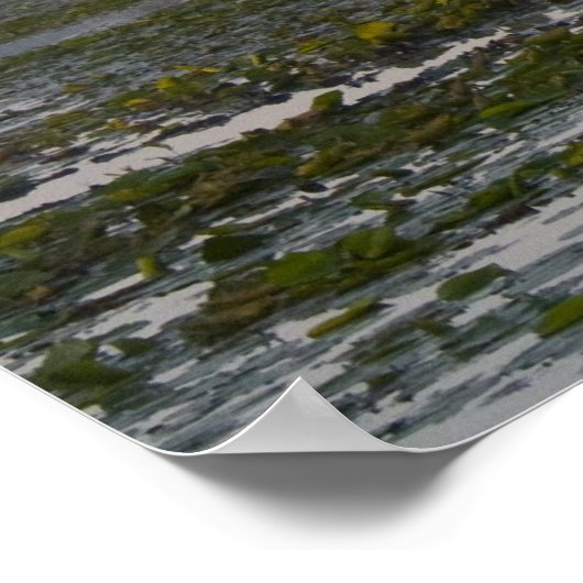 Frühherbstsonnendruck Poster (Ecke)