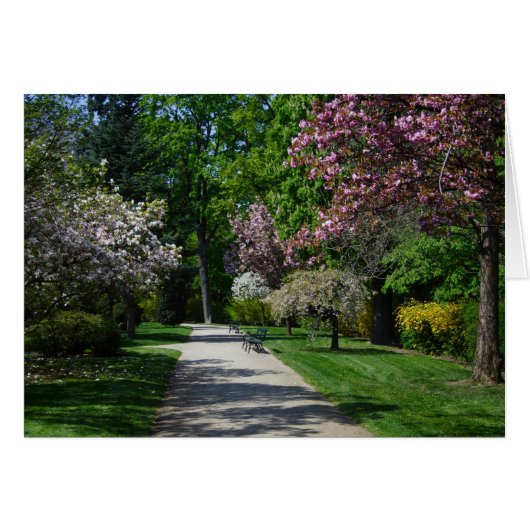 Frühjahr (Vorderseite (Horizontal))