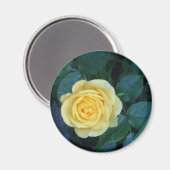 Frühjahr 2017 magnet (Vorderseite/Rückseite)