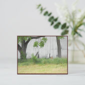 ~ Frühjahr 36 ~ Postkarte (Stehend Vorderseite)