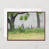 ~ Frühjahr 36 ~ Postkarte (Vorne/Hinten)