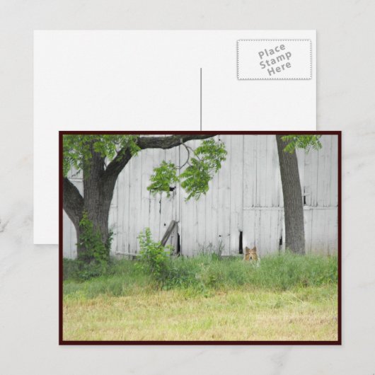 ~ Frühjahr 36 ~ Postkarte (Vorne/Hinten)