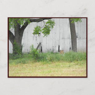 ~ Frühjahr 36 ~ Postkarte