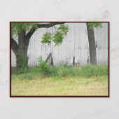 ~ Frühjahr 36 ~ Postkarte (Vorderseite)