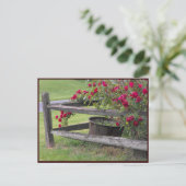 ~ Frühjahr 41 ~ Postkarte (Stehend Vorderseite)