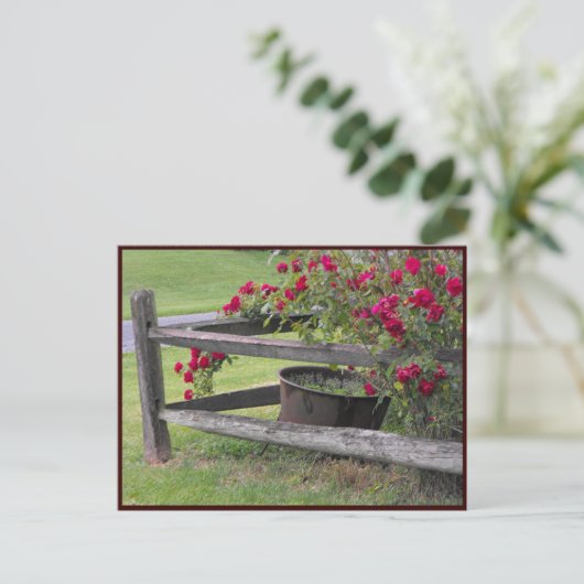 ~ Frühjahr 41 ~ Postkarte (Stehend Vorderseite)