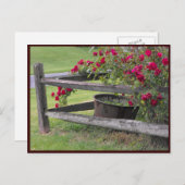 ~ Frühjahr 41 ~ Postkarte (Vorne/Hinten)