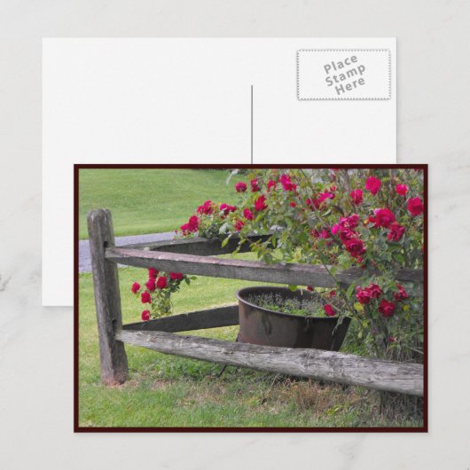 ~ Frühjahr 41 ~ Postkarte (Vorne/Hinten)