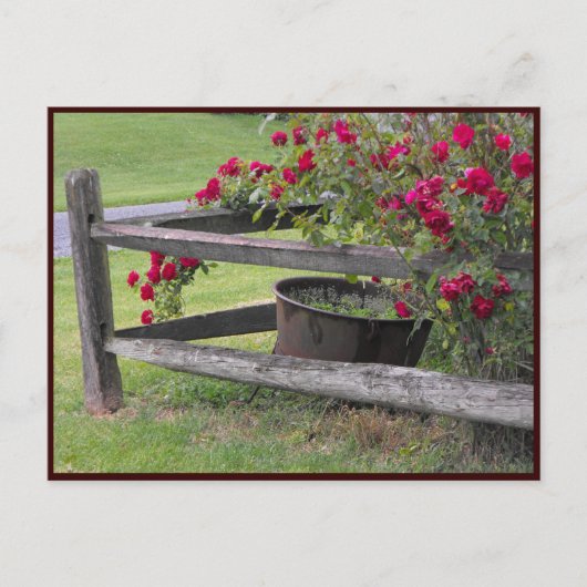 ~ Frühjahr 41 ~ Postkarte (Vorderseite)