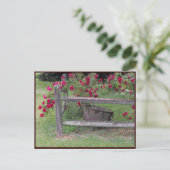 ~ Frühjahr 42 ~ Postkarte (Stehend Vorderseite)