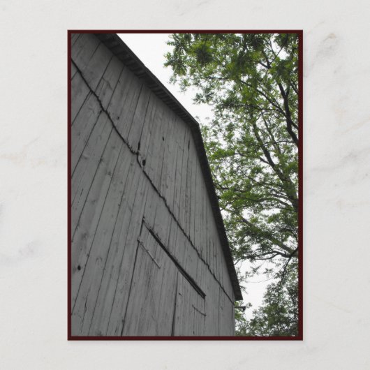 ~ Frühjahr 43 ~ Postkarte (Vorderseite)