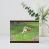 ~ Frühjahr 46 ~ Postkarte (Stehend Vorderseite)