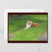 ~ Frühjahr 46 ~ Postkarte (Vorne/Hinten)