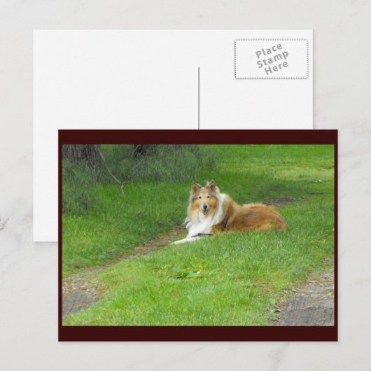 ~ Frühjahr 46 ~ Postkarte (Vorne/Hinten)