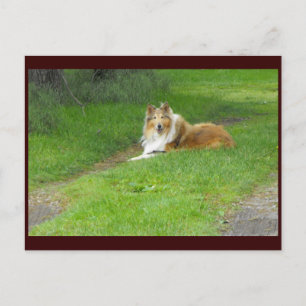 ~ Frühjahr 46 ~ Postkarte