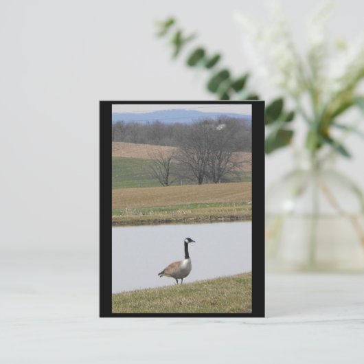 ~ Frühjahr 65 ~ Postkarte (Stehend Vorderseite)