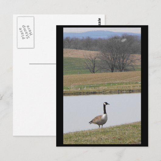 ~ Frühjahr 65 ~ Postkarte (Vorne/Hinten)