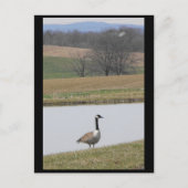 ~ Frühjahr 65 ~ Postkarte (Vorderseite)