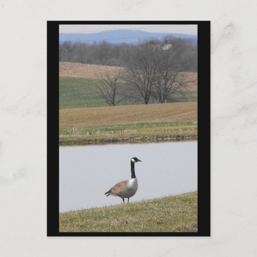 ~ Frühjahr 65 ~ Postkarte (Vorderseite)