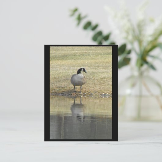 ~ Frühjahr 71 ~ Postkarte (Stehend Vorderseite)