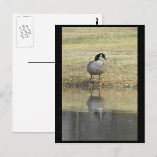 ~ Frühjahr 71 ~ Postkarte (Vorne/Hinten)