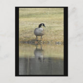 ~ Frühjahr 71 ~ Postkarte (Vorderseite)