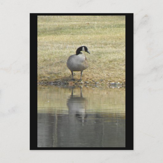 ~ Frühjahr 71 ~ Postkarte (Vorderseite)