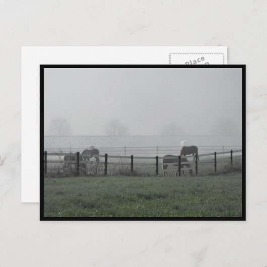 ~ Frühjahr 79 ~ Postkarte (Vorne/Hinten)