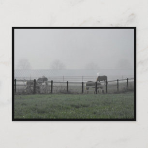 ~ Frühjahr 79 ~ Postkarte