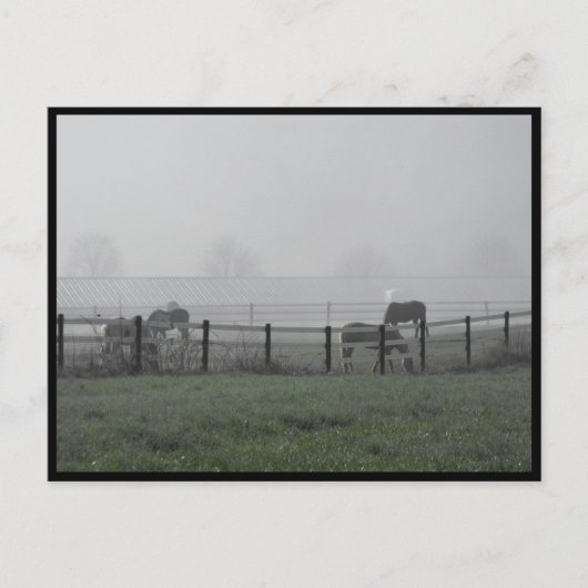 ~ Frühjahr 79 ~ Postkarte (Vorderseite)