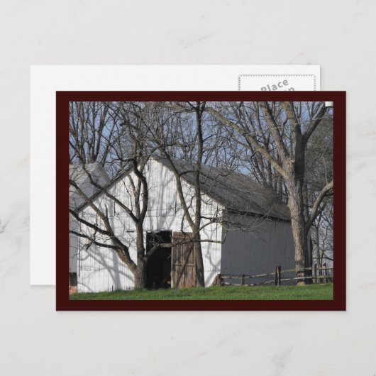 ~ Frühjahr 7 ~ Postkarte (Vorne/Hinten)