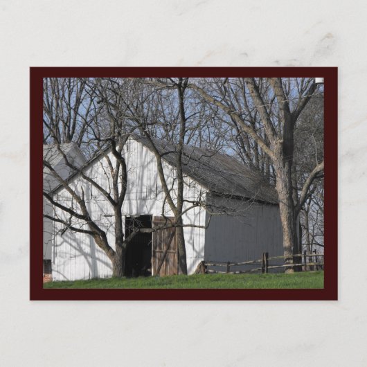 ~ Frühjahr 7 ~ Postkarte (Vorderseite)