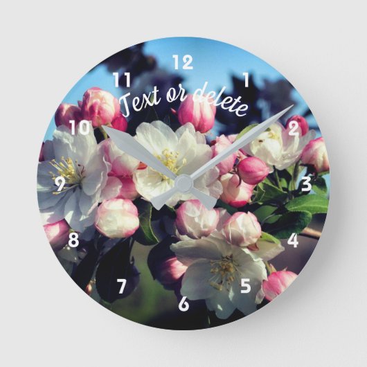 Frühjahr-Apple-Blume blüht Personalisiert Runde Wanduhr (Vorderseite)
