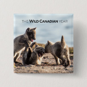 Frühjahr - Arctic Fox Button