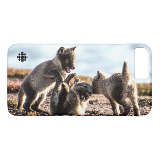 Frühjahr - Arctic Fox Case-Mate iPhone Hülle (Rückseite (Horizontal))