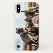 Frühjahr - Arctic Fox Case-Mate iPhone Hülle (Rückseite)