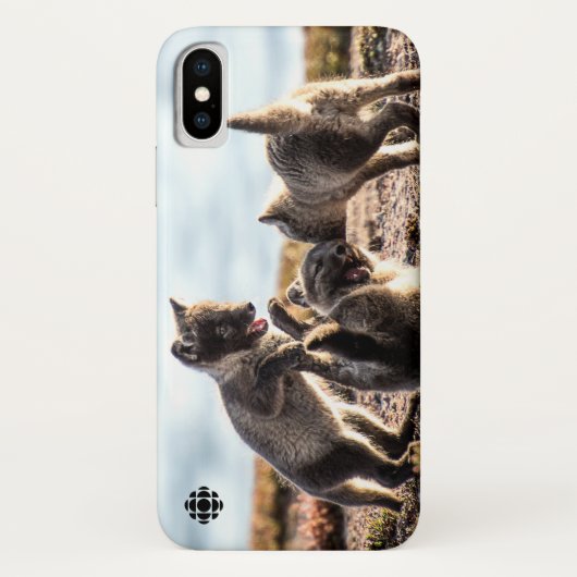 Frühjahr - Arctic Fox Case-Mate iPhone Hülle (Rückseite)