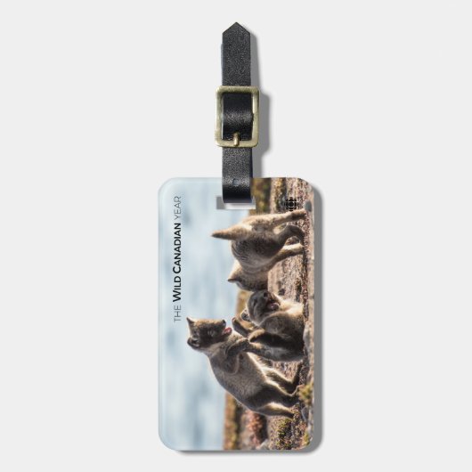 Frühjahr - Arctic Fox Gepäckanhänger (Vorderseite vertikal)